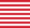 Arlington National Cemetery Logo Flag