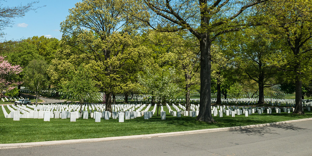 a paved road and behind it, multiple rows of grave stones surrounded by trees