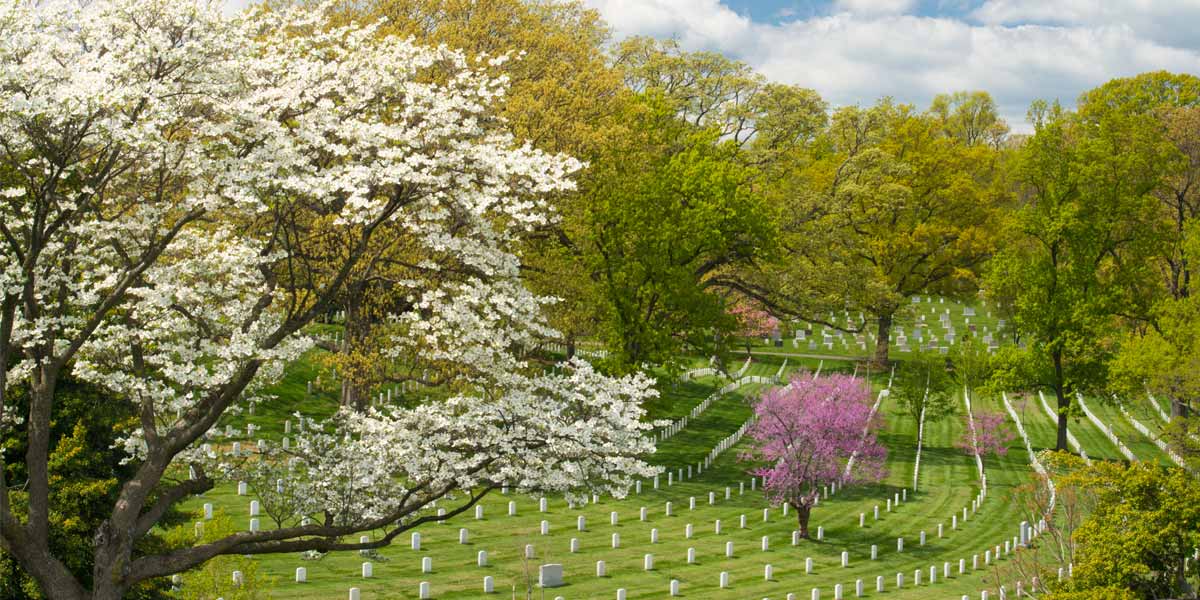 Aerial View of Arlington National Cemetery and rows of gravestones