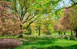 Gravesite surrounded by colorful trees at the Arlington National Cemetery