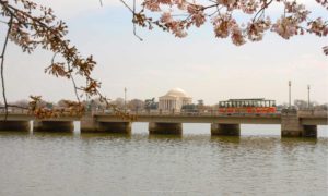 Old Town Trolley Tours with a View of Jefferson Memorial