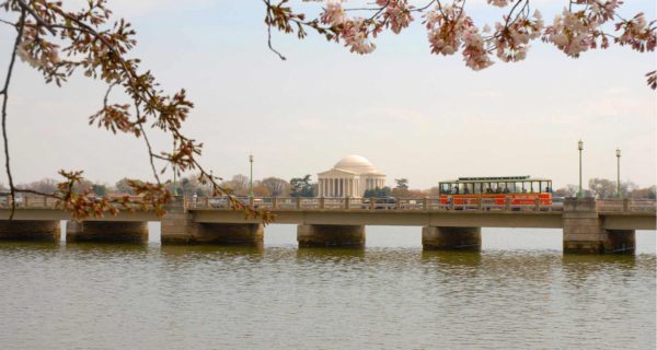 Old Town Trolley Tours with a View of Jefferson Memorial