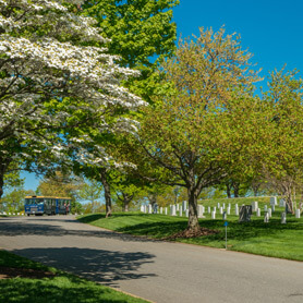 A paved road with trees on either side, head stones on the right and an Arlington Cemetery Tours vehicle very small in the distant background