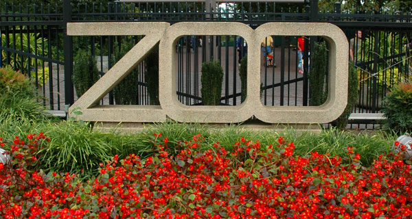 Washington DC National Zoo