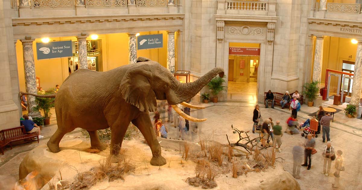 Things To Do In Washington D.C. With Kids On Vacation