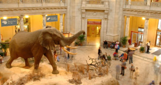 Inside the smithsonian museum washington dc