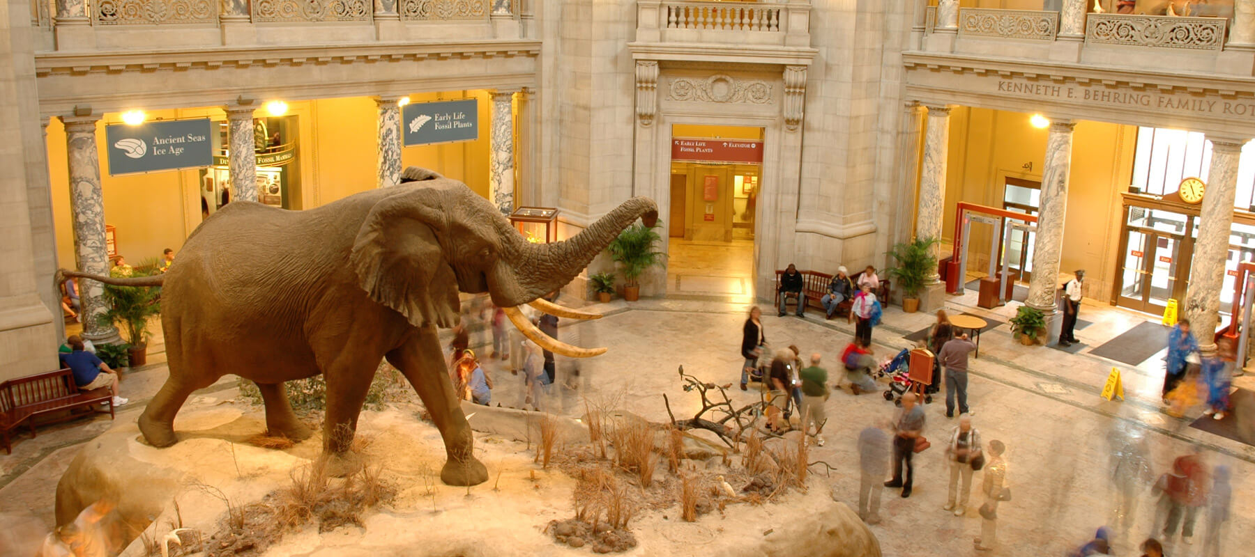 Things To Do In Washington D.C. With Kids On Vacation