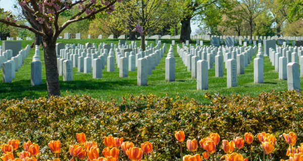 Learn about the First Military burials at Arlington