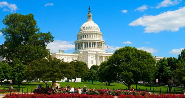 Washington DC US Capitol dome surrounded by trees