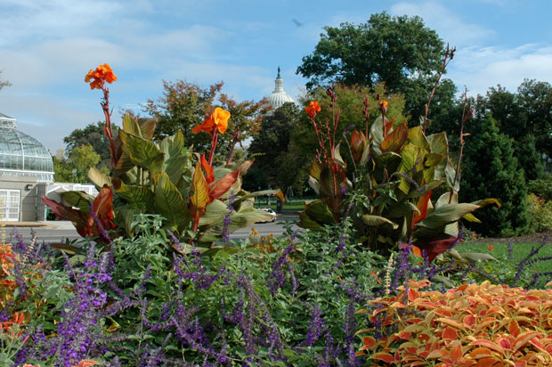 Outdoor Activities in Washington DC