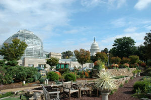 Outside US Botanical Gardens