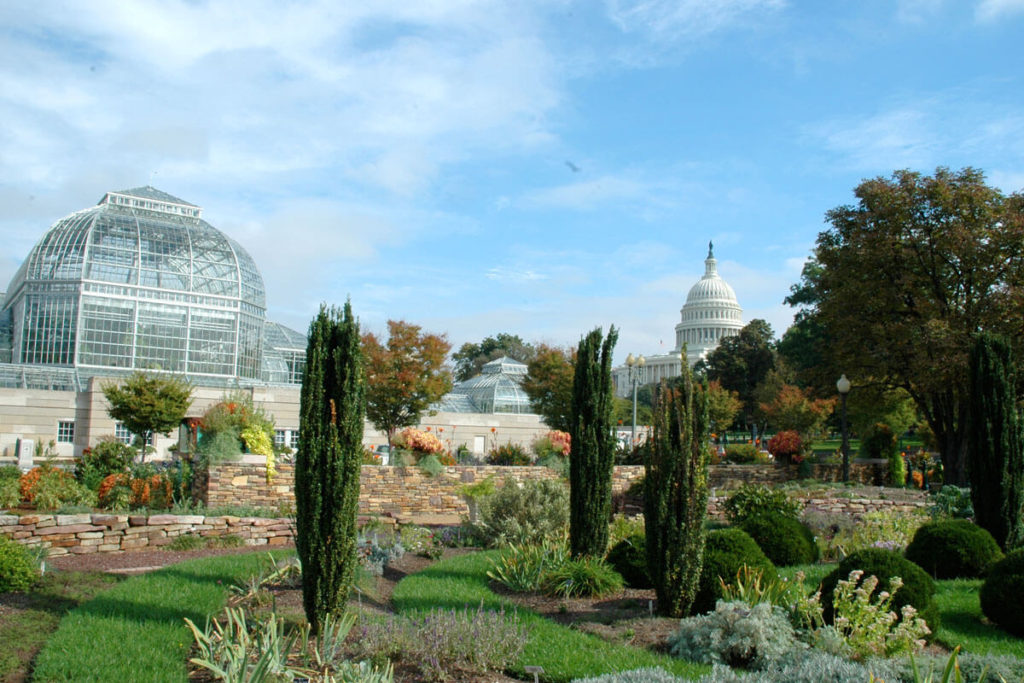 Washington DC Botanical Garden