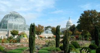 Washington DC Botanical Garden
