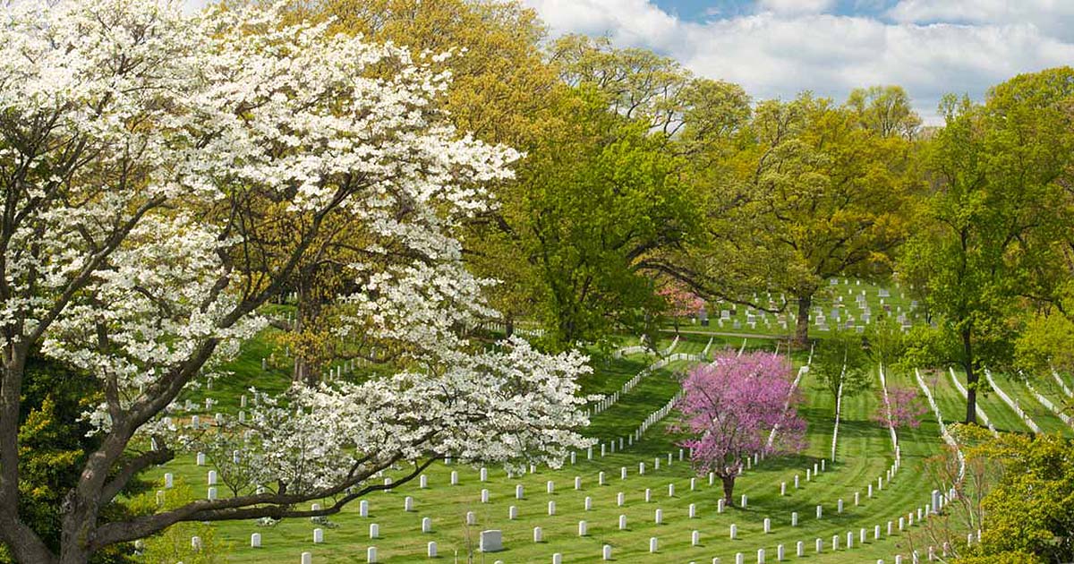 arlington-national-cemetery-facts-and-history