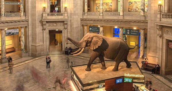 Explore Smithsonian Museums