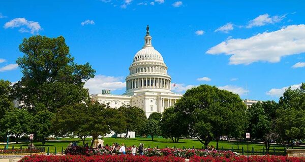 U.S. Capitol Washington D.C.